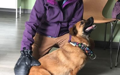 Teràpia assistida amb gossos per treballar aspectes emocionals amb les persones amb IL