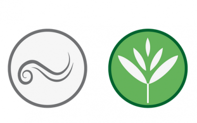 Esbrina quin és el teu poder! Fes el test!