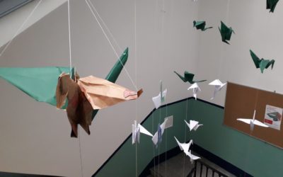 Alumnes d’IFE col·laboren amb La Marató de TV3